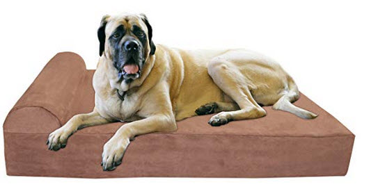 orthopedic bed for extra large and giant dogs