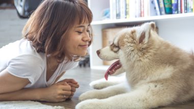 dog and his friend