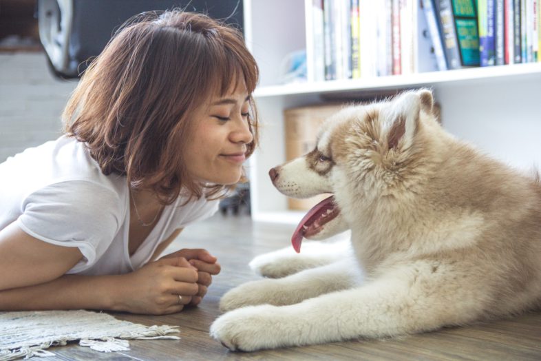 dog and his friend