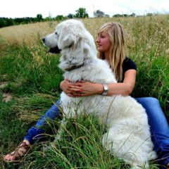 big white dog and owner