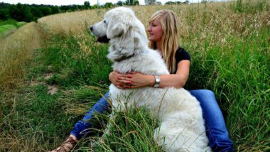 big white dog and owner